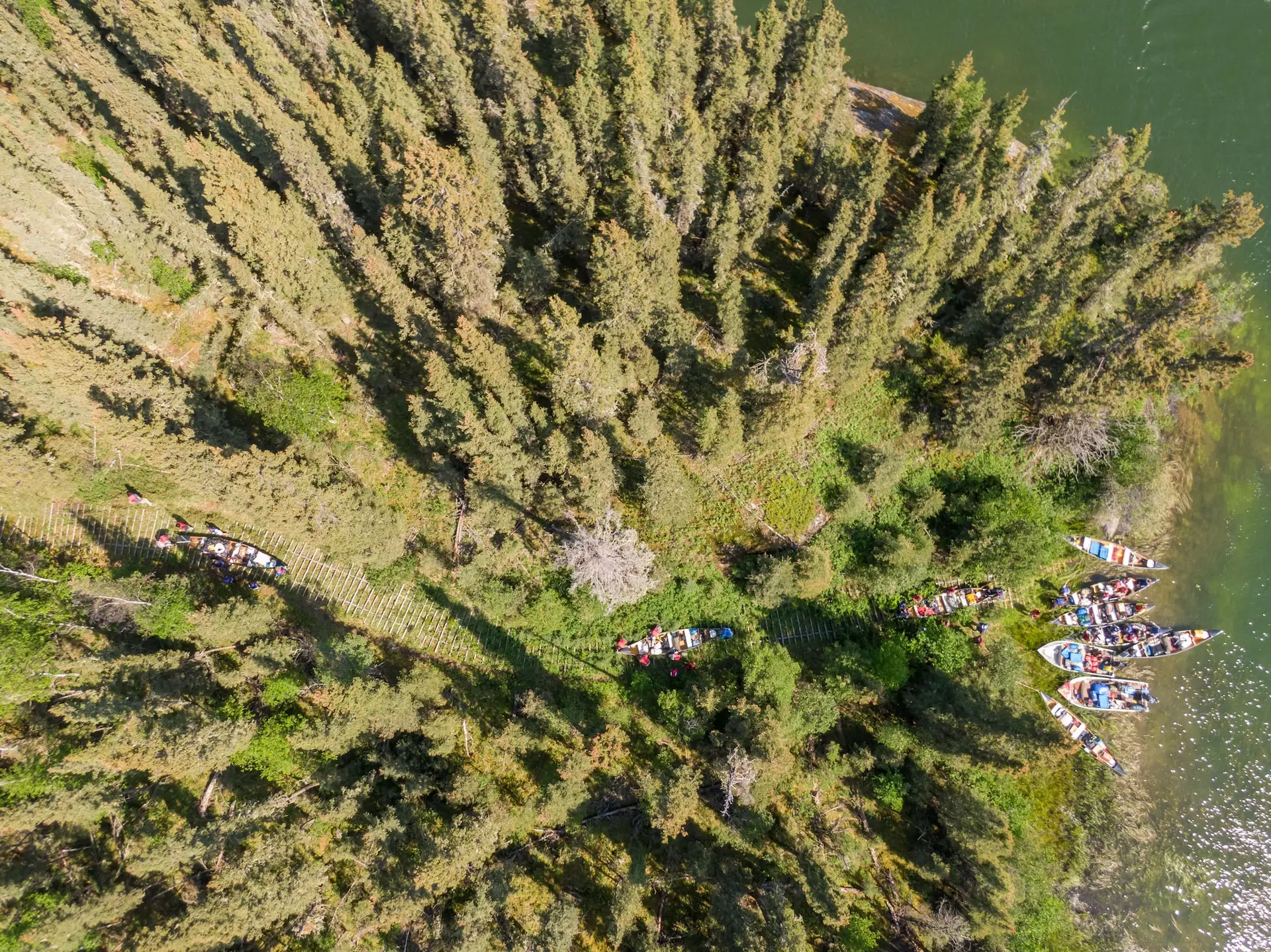 An aerial drone photography image of Seagull Rapids Portage on a sunny afternoon. Canoes queue at the bottom of the portage, as they are carried uphill one-by-one by teams of people on carved paths through a coniferous forest.